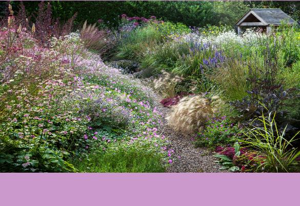 Dove Cottage Nursery